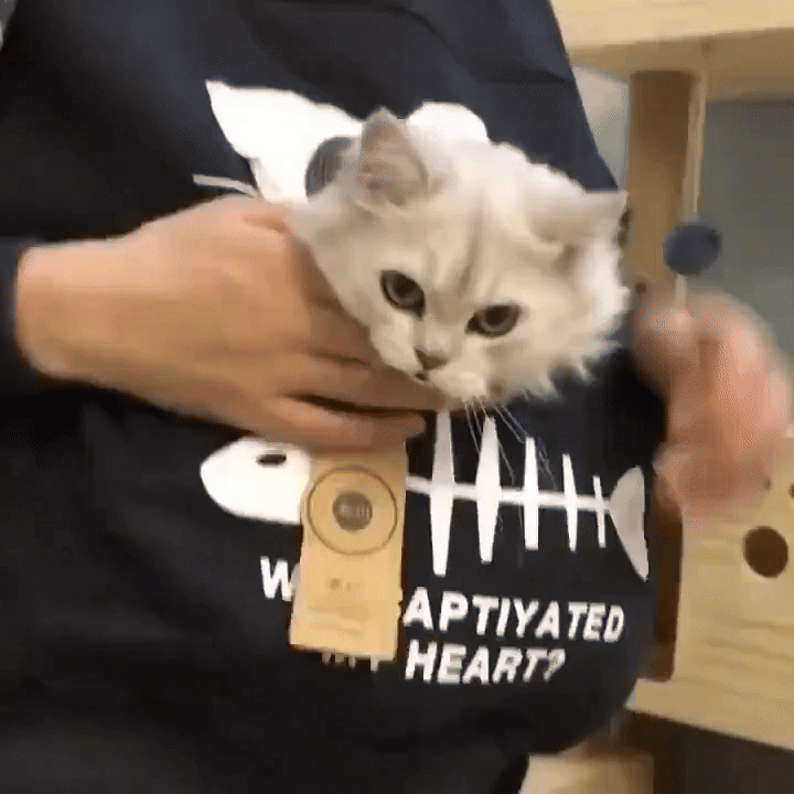 Women’s Cat Hoodie with Pet Pouch