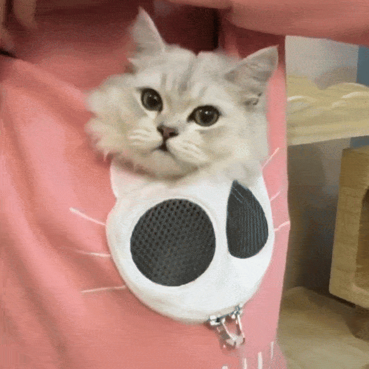 Women’s Cat Hoodie with Pet Pouch