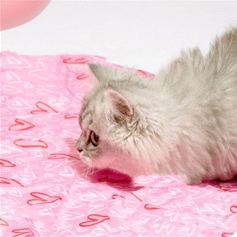 Electric Cat Magic Ball