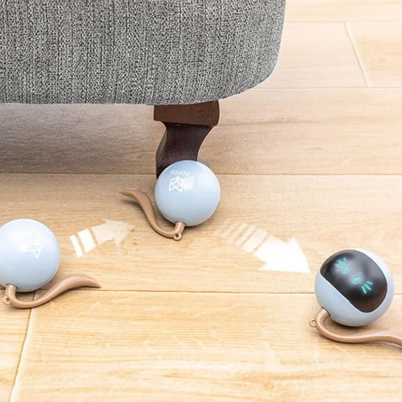 Electric Cat Magic Ball