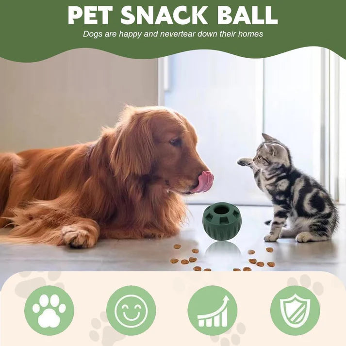 Dog Snack Tray Mold