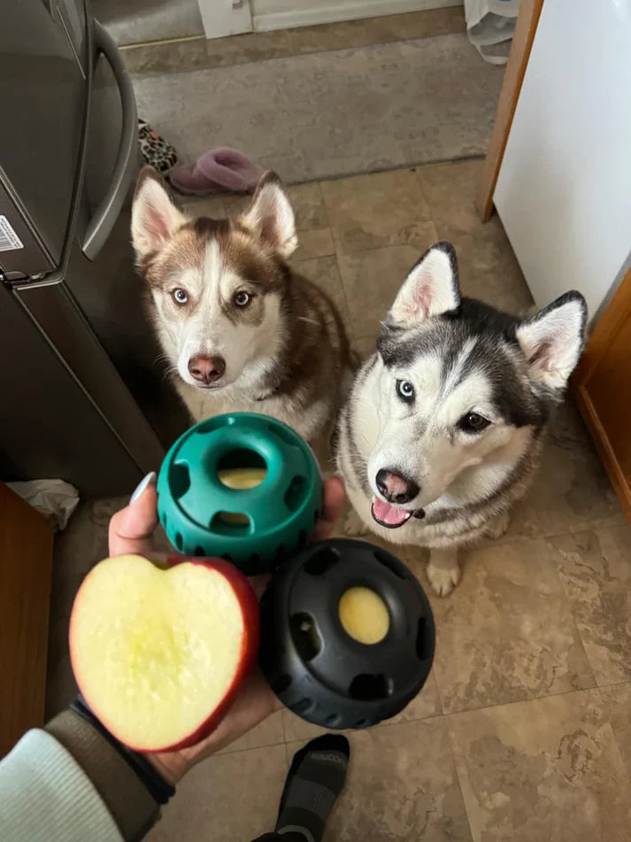 Dog Snack Tray Mold