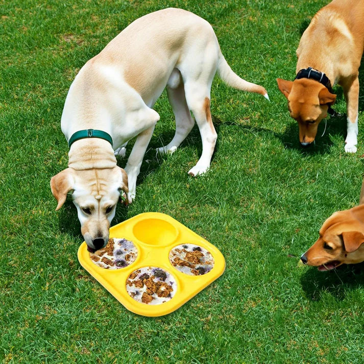 Dog Snack Tray Mold
