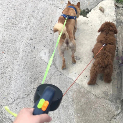 Dual Dog Leash With Flashlight