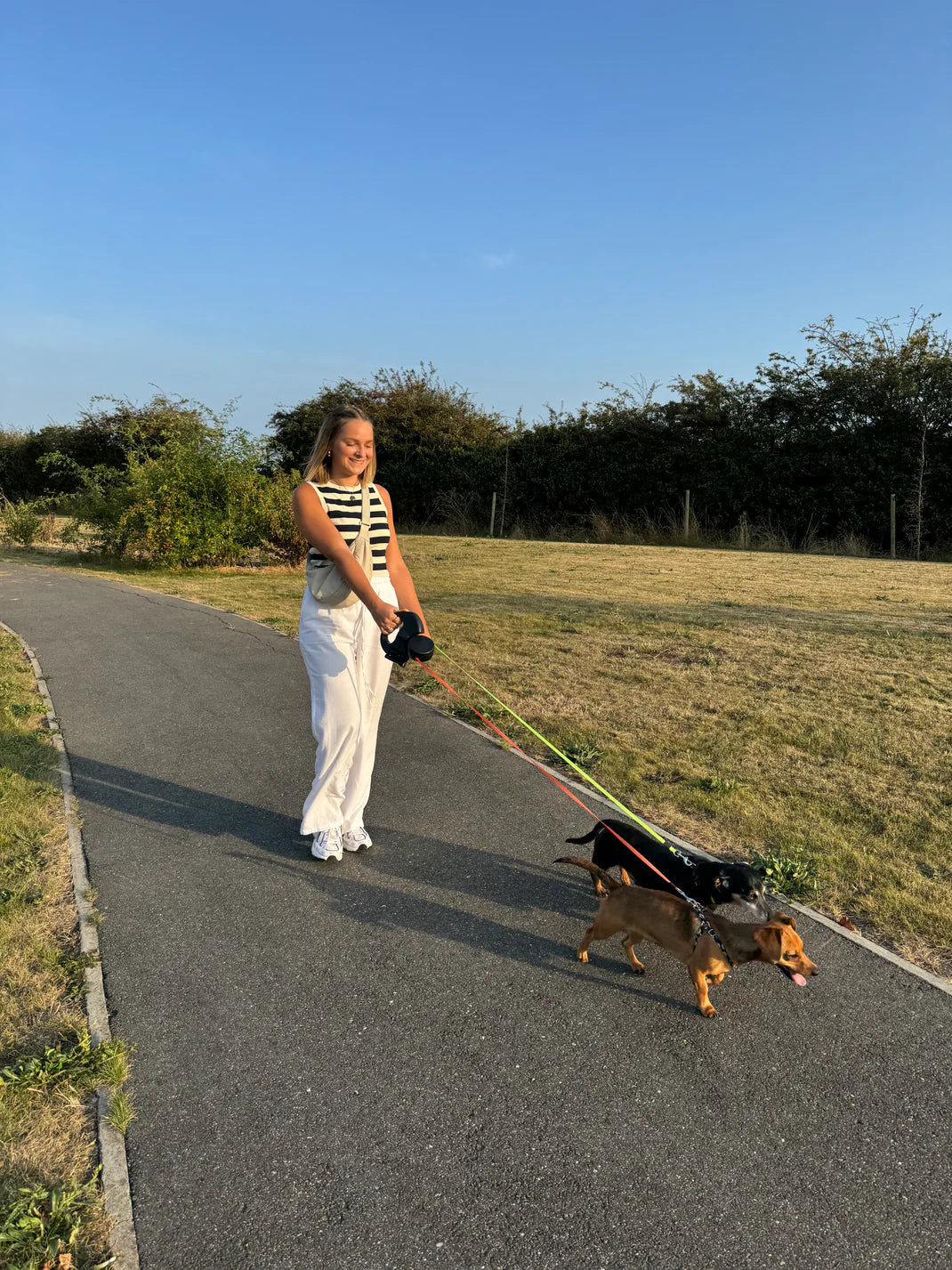Dual Dog Leash With Flashlight