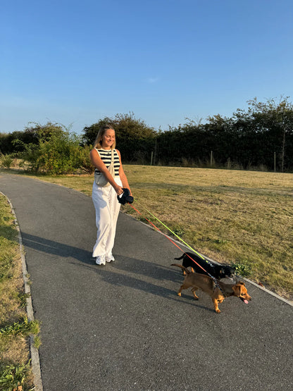Dual Dog Leash With Flashlight