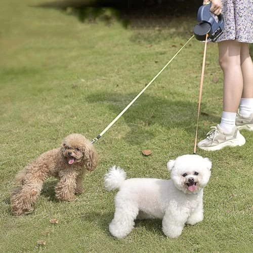 Dual Dog Leash With Flashlight