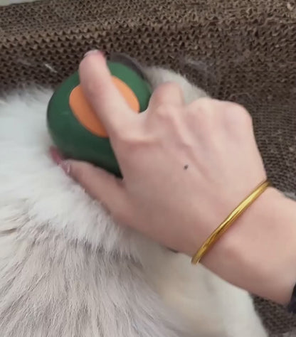 Steamy Cat Brush